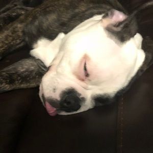 Meet your Posher, Clinton